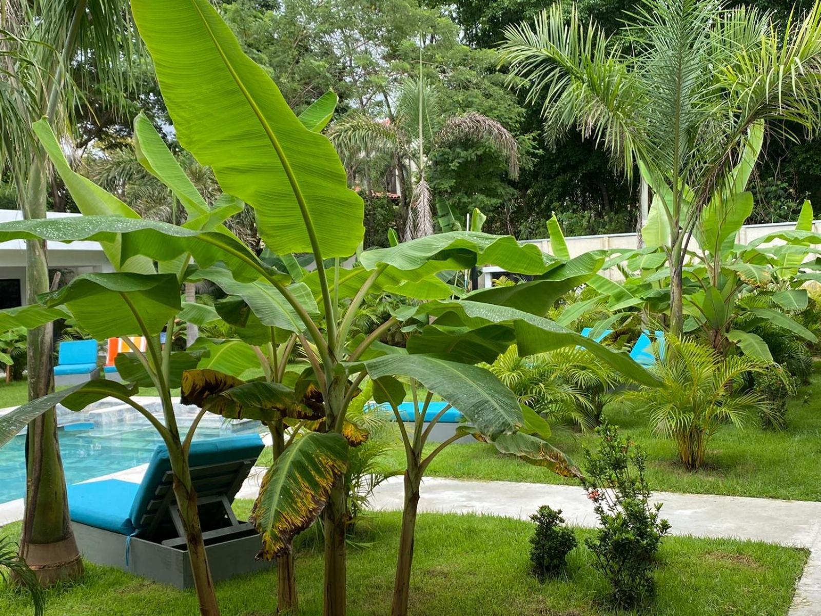 Hotel Good Life Coco Exterior foto