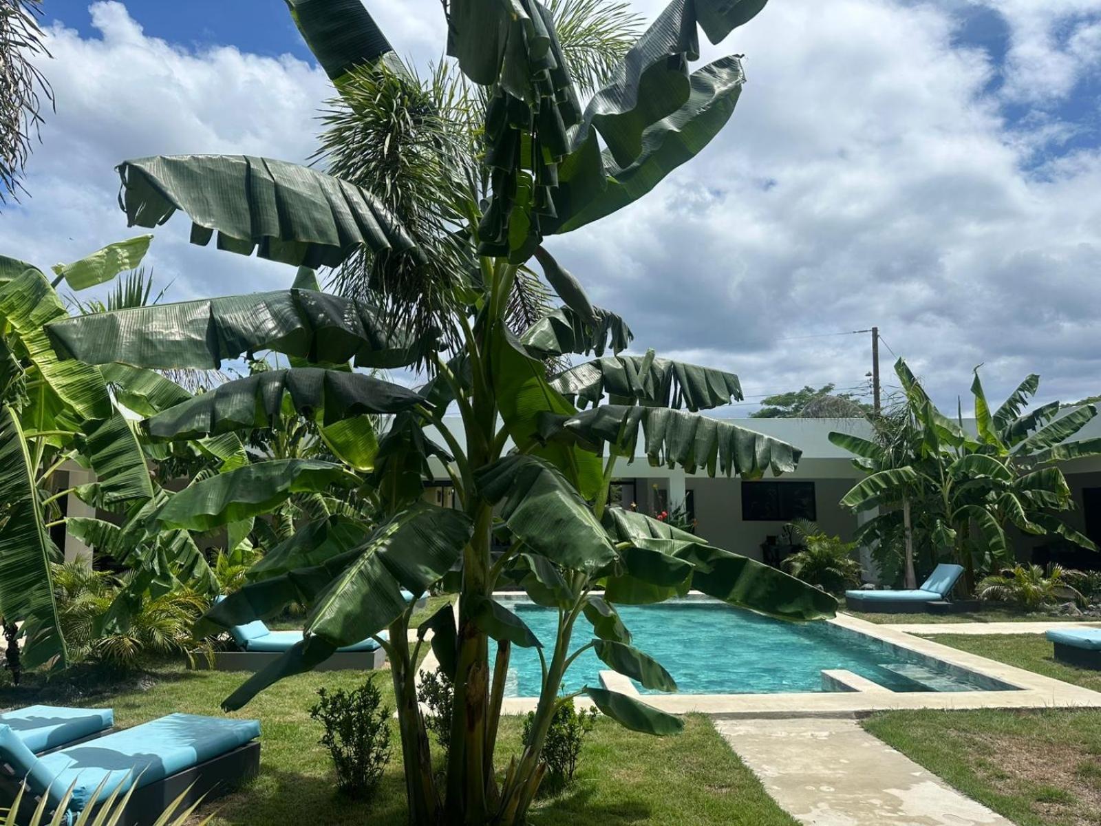 Hotel Good Life Coco Exterior foto